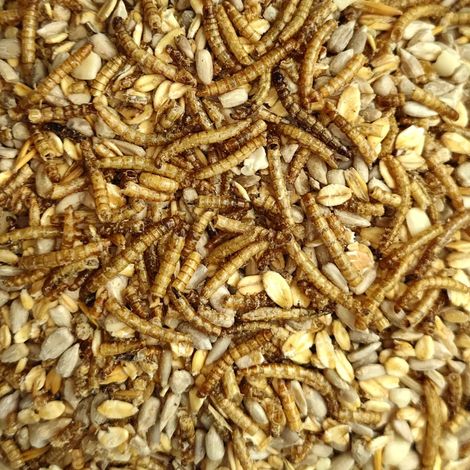 Mangime per uccelli selvatici 20 kg Deluxe con vermi della farina, senza guscio (1/5)