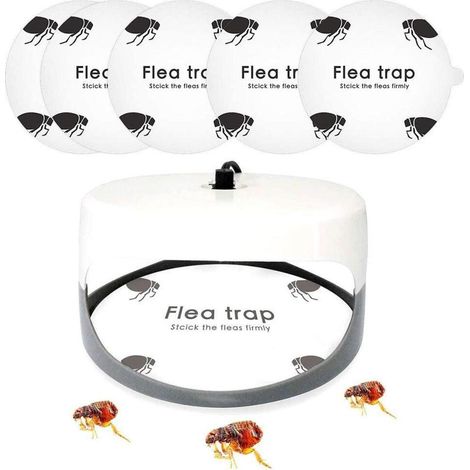 Lot de 5 autocollants anti‑puces ronds collants, recharges pièges à puces dôme, pour maison, chambre et animaux domestiques (1/5)