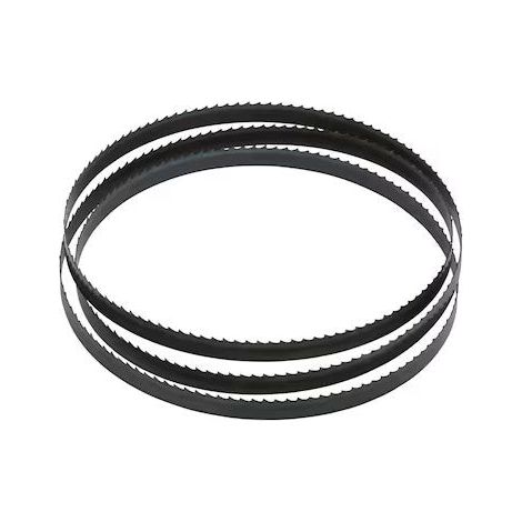 Hoja para sierra de cinta DW738/DW739 2095mm DEWALT DT8481-QZ ancho 12mm (1/3)