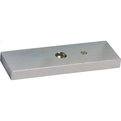 Contre-plaque 185mm pour ventouse EF550 - SEWOSY - APEF550