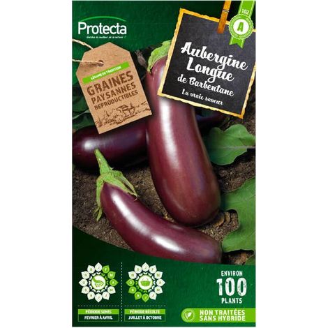 Aubergine violette de Barbentane