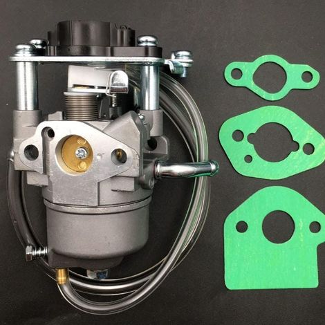 Ensemble carburateur Huayi et générateur onduleur à essence Generac iQ2000 (1/4)