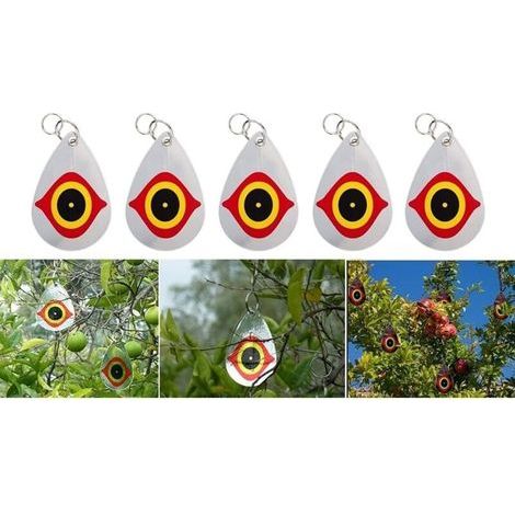 Lot de 5 horribles yeux de prédateurs pour effrayer les oiseaux, dispositifs de suspension dissuasifs pour oiseaux, éloignez les oiseaux de vos granges, fenêtres de jardin, entrepôt (1/5)