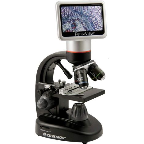 Celestron 44348 PentaView LCD Microscopio digitale, Ingrandimento 40x-60x, Nero/Argento (1/5)