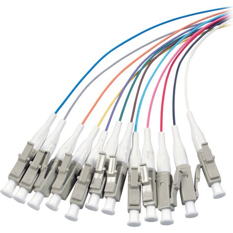 INTELLINET Set 12 Pigtail LC 50/125 , OM3 (1/3)