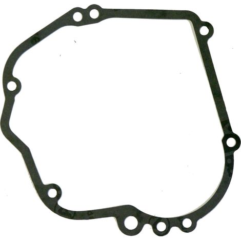 Guarnizione flangia motore trattorino rasaerba Quantum 35 BRIGGS & STRATTON 271903