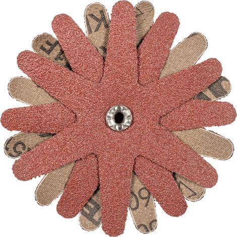 PFERD TOOLS POLISTAR-TUBE PST-T Ø 100mm Bohrung Ø 5 mm A60 zum Schleifen von Bohrungen und Rohren 10 Stk (1/5)