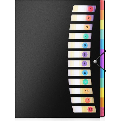 Organiseur de projet en polypropylène à 24 pochettes, format lettre, extensible, robuste, en plastique, avec cordon élastique et étiquettes de couleur, noir. (1/5)