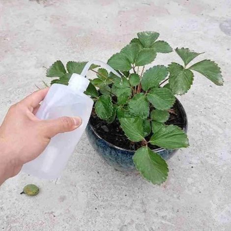 Bidon d'arrosage 250ML bec verseur incurvé, arrosoir transparent renforcé (1/5)