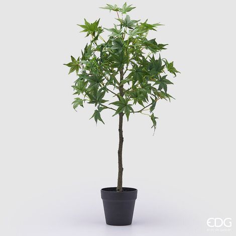 EDG Enzo De Gasperi Acero con Vaso Artificiale H 76 Cm Green