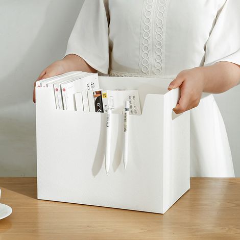 Organiseur de bureau portable en polypropylène, boîte de rangement pour livres, classeurs et documents. (1/5)