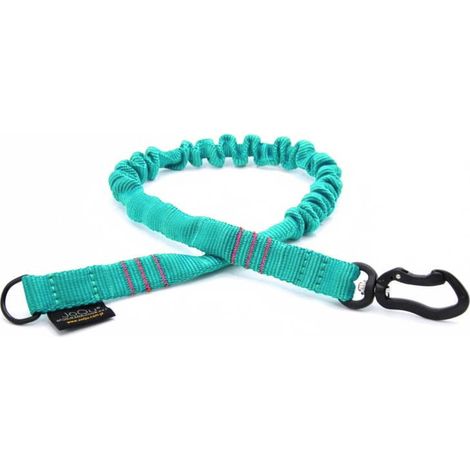 JoQu® Strong Shock Absorber per cani di piccola taglia, menta