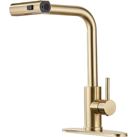 360° Swivel Extendable Kitchen Faucet - Single Lever Mixer Tap for Kitchen Sink - Brushed Gold (1/5)
