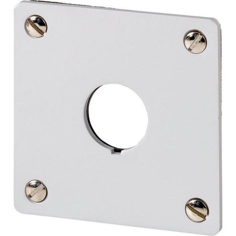 EATON Tablero de montaje, IP65, gris, 216541