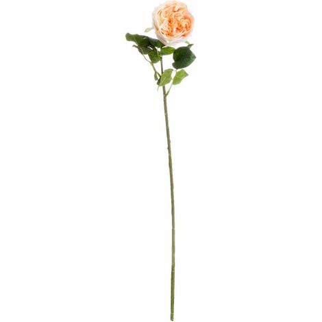 Butter Portland Rose Artificial Flower - L7 x W12 x H72 cm