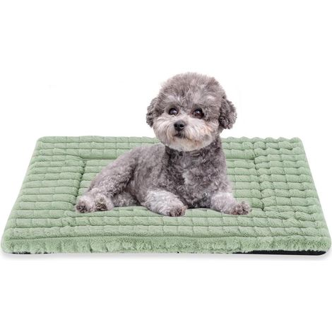 Lit pour chien douillet orthopédique 100x80cm Vert, Lavable & Antidérapant
