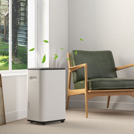 Déshumidificateur électrique avec réservoir d'eau de 6 litres (20 l/jour), 3 modes, 2 vitesses, minuterie, 33,5 x 26 x 53 cm, blanc (1/5)