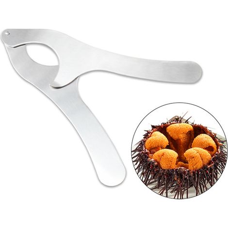 Coupe-oursin Petit Outil Outil d'ouverture d'oursin Ouvre-ustensile Outil d'oursin Outil Couteaux à Fruits de Mer (1/5)