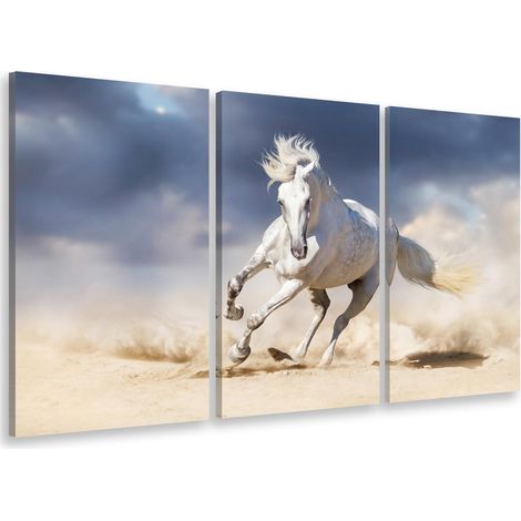 Tableau triptyque animal le cheval blanc - 90x60 cm (1/5)