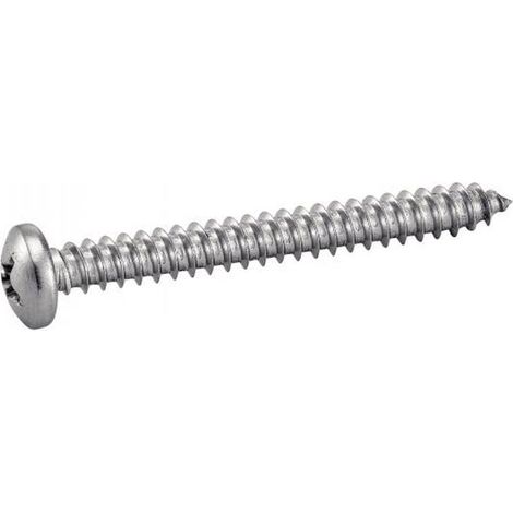 100 Vis à Tôle Tête Cylindrique Large Phillips 4.8 x 120 mm - DIN 7981 - Inox A2 - D-Work