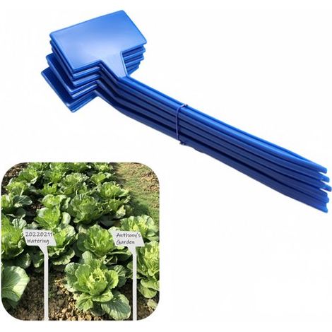 Paquete de 30 etiquetas/estacas para plantas, Superficie angulada para facilitar la lectura, Estacas para vivero (modelo en T), 30 x 9 x 4,5 cm (1/5)