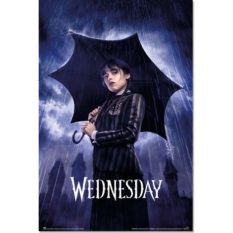 Poster Mittwochsschirm