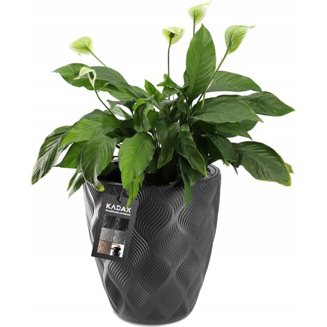 KADAX Blumentopf mit Einsatz und Griffen, Pflanzkübel aus Kunststoff in 5 Größen, UV-Resistenter Top (1/5)
