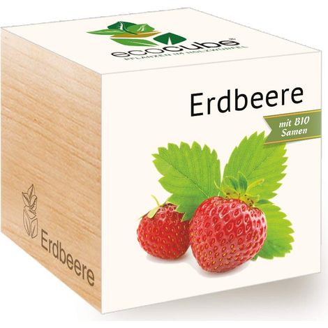 Feel Green Ecocube - Semi di Fragola biologici, Idea Regalo sostenibile (100% Eco Friendly), Grow Your Own/Set di Coltivazione, Piante nel Dado di Legno, Made in Austria