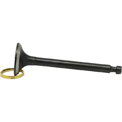 Soupape d'Échappement en Métal pour robuste pour Moteur Soupape(1) (1/5)