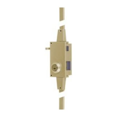 Tesa Assa Abloy – Serrure électrique 3 points en applique TS 300 – Acier doré – Protecteur anti-perçage – Axe 53 mm – Sens de pose droite (1/6)