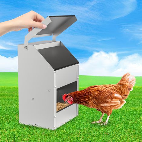 TolleTour Mangiatoia per polli in acciaio zincato, capacità 5 kg, per polli e pollame, da terra o fissaggio a parete, soluzione per alimentazione quotidiana (1/5)