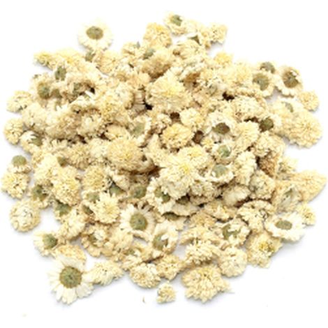 Camomille romaine (fleur) 1Kg- Vendu par 1