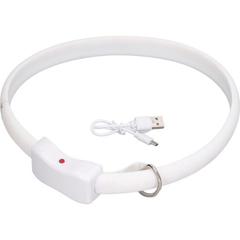 Collier LED rechargeable pour chien, modes lumineux multiples, découpable, USB rechargeable, réutilisable (1/5)
