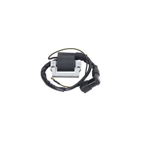 Pièce de rechange de bobine d'allumage 12V pour XL185 XL XR 70 75 80 100 125 175 185 200 250 (1/5)