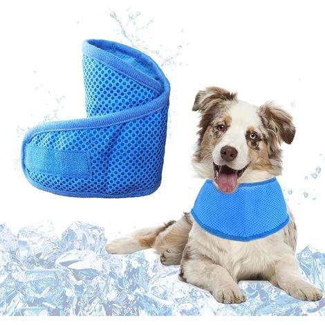 Bandana Chien Refroidissement(M), Collier Bandana Chien pour L'été, Collier Rafraîchissant pour Chiens, Écharpe Rafraîchissante pour Animaux de Compagnie de Taille Moyenne et Petite, Bleu (1/5)