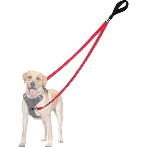 Anti-Zug-Hundeleine, doppelt reflektierende Anti-Zug-Leine, für Training und Spaziergänge, für große und mittelgroße Hunde (Rot) (1/5)