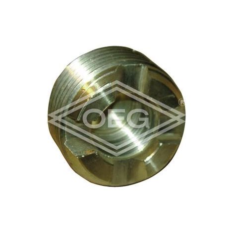Bouchon de fermeture de sécurité GSS9570-34, 3/4’’