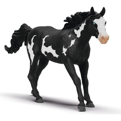 Paint Horse Wallach
