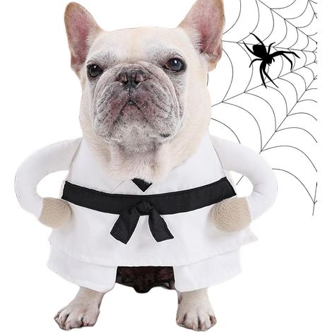 Costume Chien Vêtements Drôles D'Inspiration Artistique pour Séances Photo (1/5)