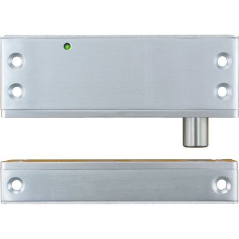 Verrou électrique compact Ap/Enc 5000 N rupture 12/24V DC Contact (1/2)
