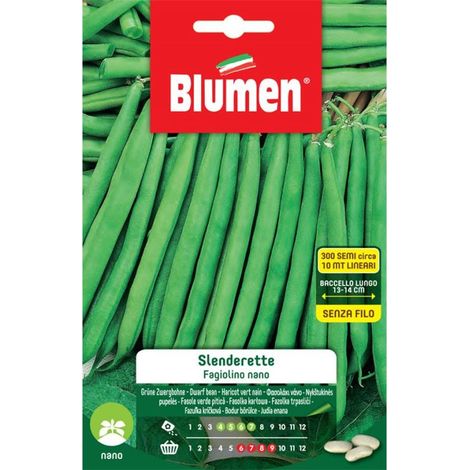 SEMI FAGIOLINI NANI SLENDERETTE BLUMEN