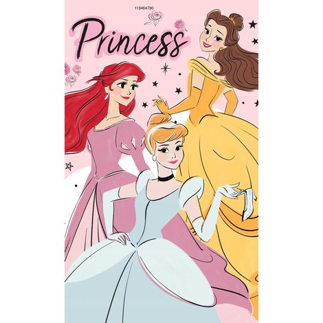 Toalla de bebé princesa 30 x 50 princesa (1/3)