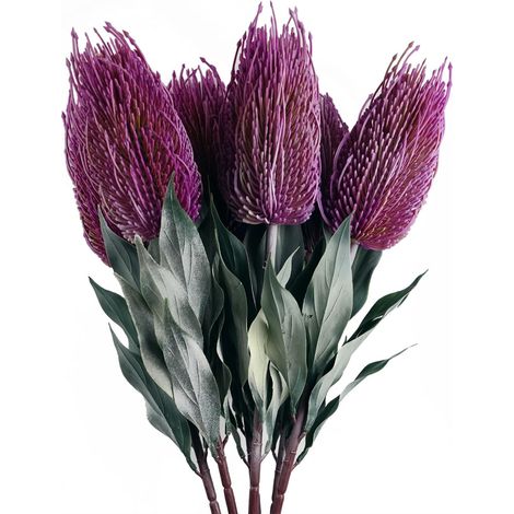 Pack of 6 x 75cm Banksia Menziesii Pink Flower Stem Artificial (1/5)