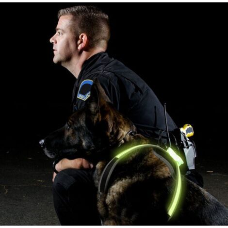 dog harness (1/4)