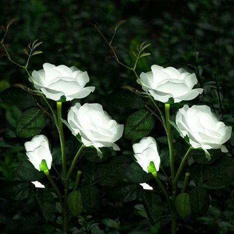 Lampe Solaire - Fleur De Rose - IP44 - 75 Cm - Pour Jardin Balcon Terrasse Allée Jardinière - 2 Pièces (1/5)