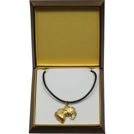Tschechischer Terrier, Český Terrier – eine Halskette mit einem Hund in einer Geschenkbox, ein vergoldeter Anhänger für Hundeliebhaber, beeindruckender Schmuck der Marke Art-Dog (1/5)