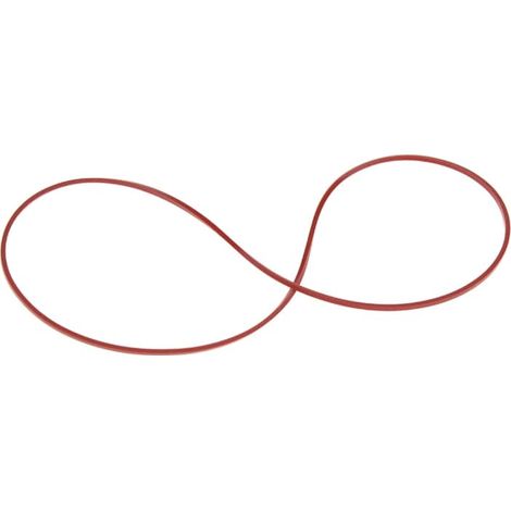 Whirlpool - cinghia di nylon - 481252238003 - 8058331185752
