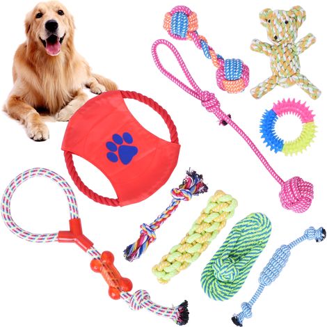 Set di 10 giocattoli per cani Dylan