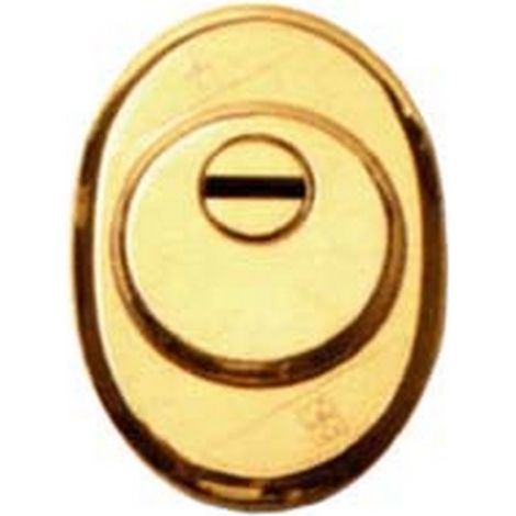 1PZ DEFENDER CON MOSTRINA IN OTTONE LUCIDO - defender mm.50x25h.