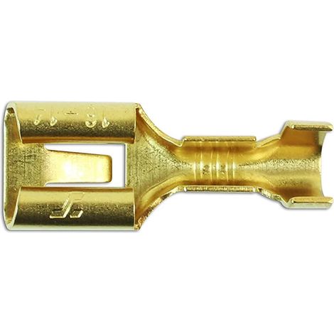 Workshop Consumables 37407 Lot de 100 cosses femelles non isolées (1/5)